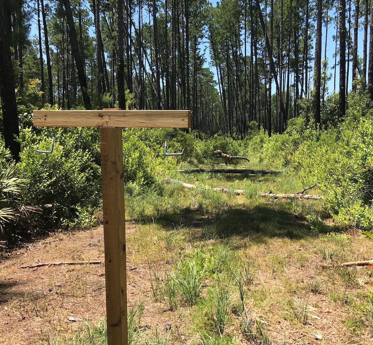 Richmond Hill Archery Range Department Of Natural Resources Division